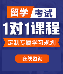 大鸡巴好大好爽用力留学考试一对一精品课